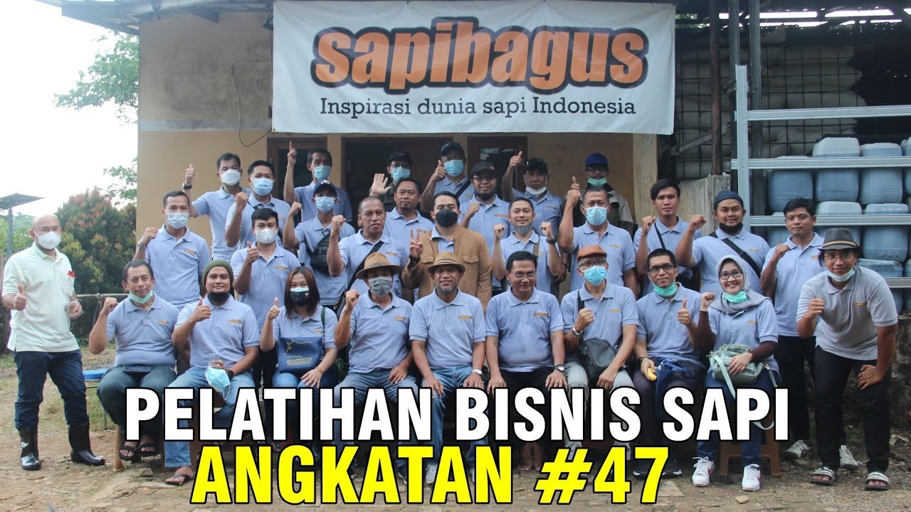 
                                 Belajar-Beternak-Sapi-Di-Pelatihan-Sapibagus-Farm-Angkatan-47